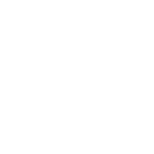 Darksoft Logo
