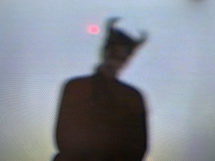 Darksoft: Portrait, 2025
